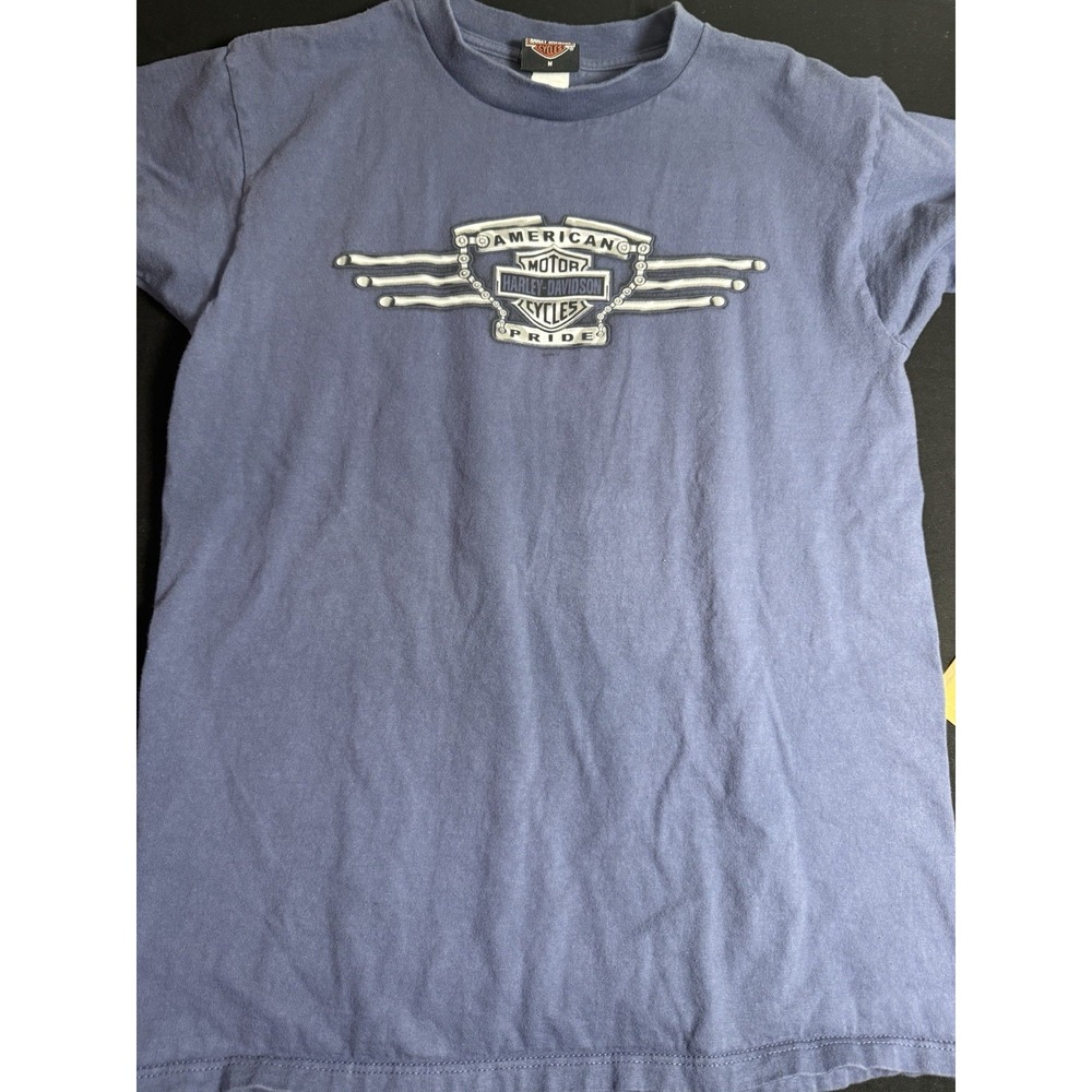 Vintage Y2K Harley-Davidson Roanoke VA Gray‎ Tee M Biker